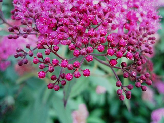 Un pequeño oasis en forma de terraza o jardín constituye un beneficio